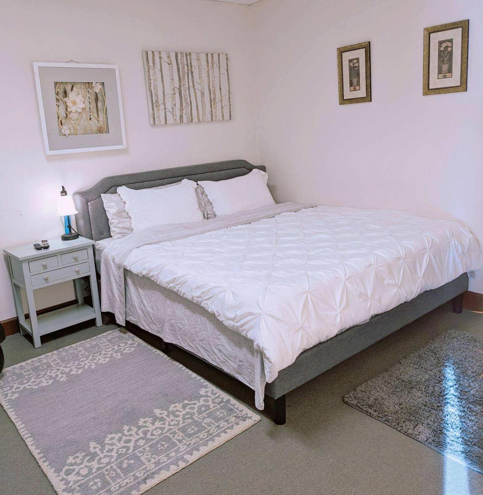 Uptown Area, Cozy King Suite, Quiet And Private, Free Parking, Walk To Restaurants Charlotte Luaran gambar